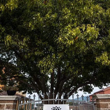 La Canfora ベッド・アンド・ブレックファスト